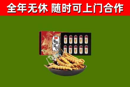 福贡回收冬虫夏草价格